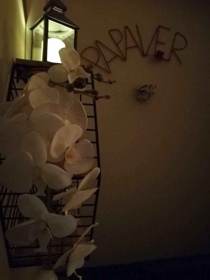 Papaver Apartament 锡隆纳葛拉 外观 照片